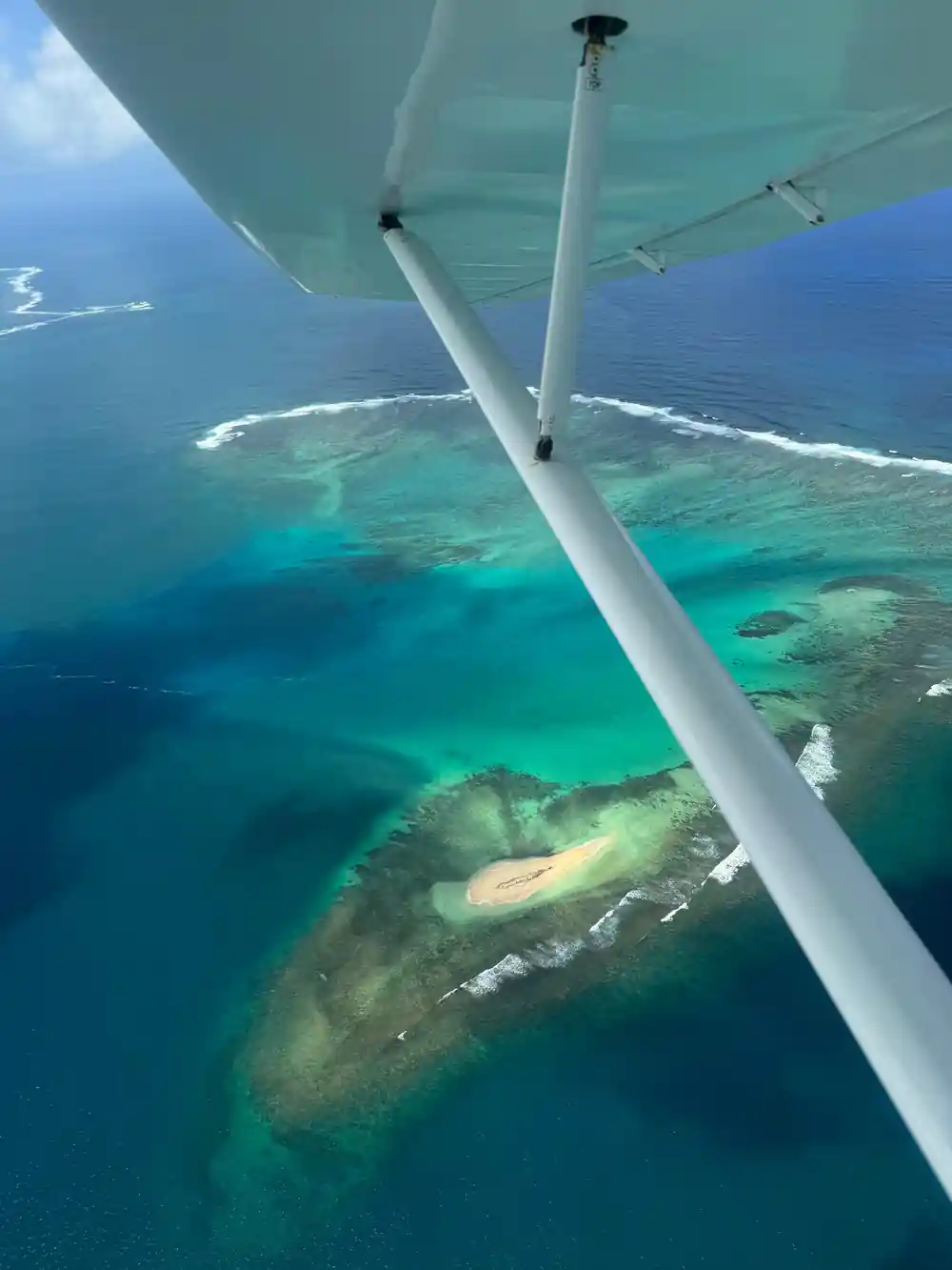 Past the wing strut down to a sandbank ringed with green shallows