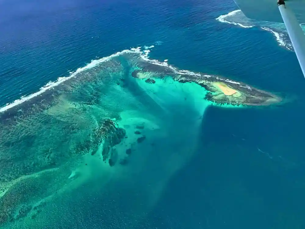 A reef headland with a small green islet and pale sand fanning off its edge