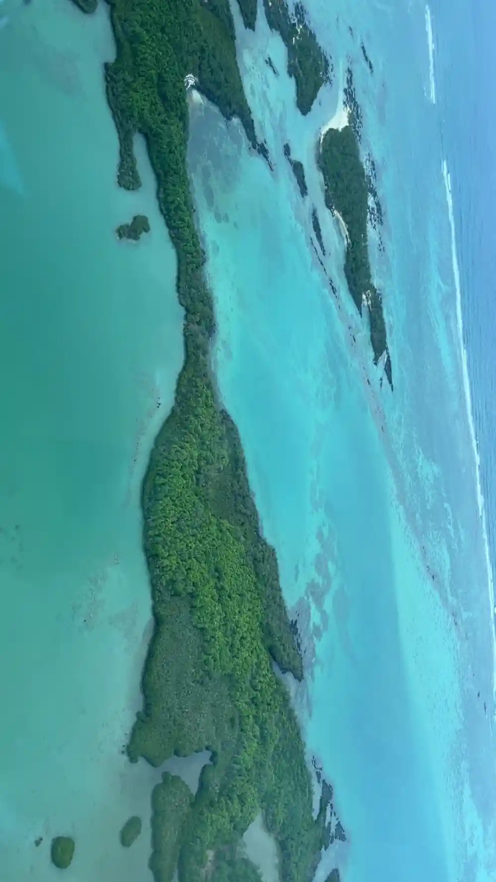 A shallow reef flat crossed by a long dark seagrass band